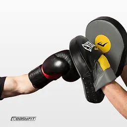 Лапи для боксу Everlast 2 шт - мініатюра 9