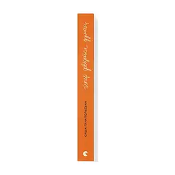 Книга Тепер доведеться думати - Саша Ганапольська Видавництво Старого Лева (9789664486252) - миниатюра 3