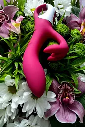 Вібратор-кролик Satisfyer Embrace me, 21.6х4.6 см бордо - мініатюра 2