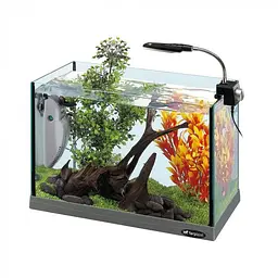 Акваріум Ferplast CAYMAN 40 OPEN 41.5 x 21.5 x h 37.5 cm - 21 L