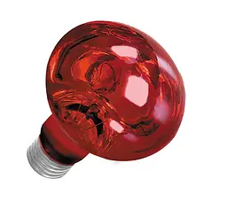 Лампа нічна для обігріву Terra Night Heat Red, 75W Happet, (BR03) - мініатюра 2