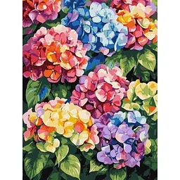 Картина за номерами "Різнокольорові гортензії" art_selena_ua KHO3299, 30х40 см