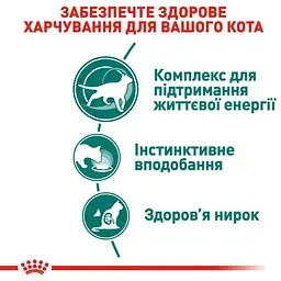 Вологий корм для кішок від 7 років Royal Canin Instinctive шматочки в соусі 1.02 кг (12 шт. х 85 г) - мініатюра 5