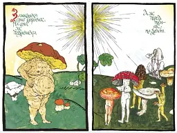 Війна грибів - мініатюра 5