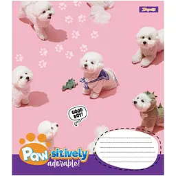 Зошит 1 вересня Pawsitively А5, 24 аркуша в лінію (768241)  