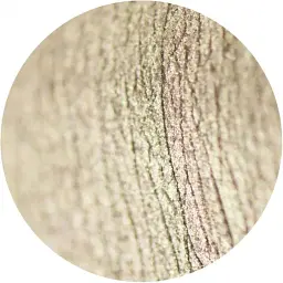 Розсипчасті тіні Sinart Make-Up With Passion тон 94 (Copper Light) 1 г - мініатюра 2