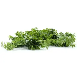 Штучна гілка Engard Eucalyptus 65 cм (AV-03) - мініатюра 2
