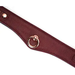 Нашийник з повідцем Liebe Seele Wine Red Curved Collar - мініатюра 8
