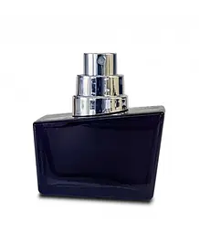 Парфуми із феромонами чоловічі Shiatsu Pheromone Fragrance men grey 50 ml - мініатюра 4
