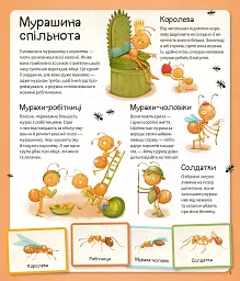 Світ мурах - мініатюра 7