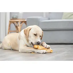 Ласощі Trixie Chewing cheese для собак, M: 13.5 см, 75 г - мініатюра 9