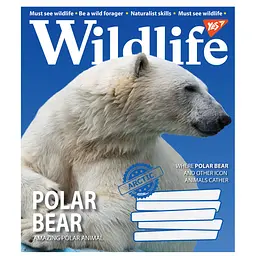 Набір зошитів Yes Wildlife A5 в лінію 96 листів 5 шт. - мініатюра 2