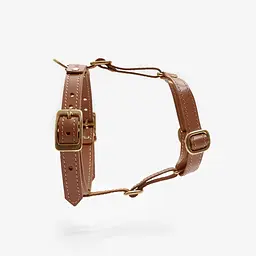 Шкіряна анатомічна шлея для собак "Classy" S руда (обхват грудини 34-48 см) - мініатюра 4