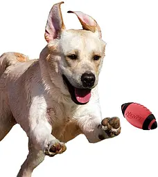 Футбольний м'яч для собак Nerf Dog Squeak - мініатюра 5