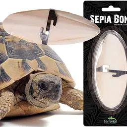 Сепія для черепах, природний вапняк для рептилій Terrario Sepia Bone 10-15см - мініатюра 6