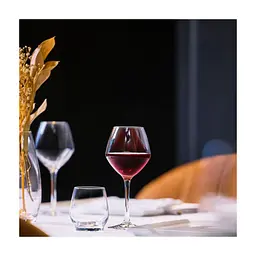 Келих Chef & Sommelier серія "Cabernet Vins Jeunes" 470 мл (E2790) - мініатюра 4