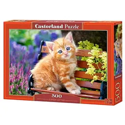 Пазл Castorland puzzle Руде кошеня, 500 ел. ( B-52240)