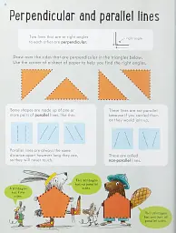 Key Skills. Wipe-Clean Geometry 8-9 - мініатюра 7