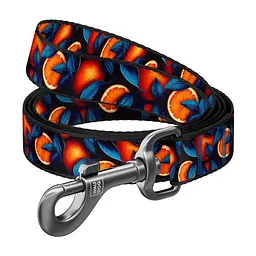 Повідець для собак WAUDOG Nylon "Апельсини" L-XXL (342-4054)