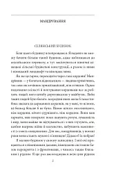 Мандрування. Курортник. Поїздка до Нюрнберга. Оповідання - мініатюра 4