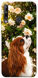 TPU чохол Demsky Flower spaniel для Huawei P40 Lite E / Y7p (2020)