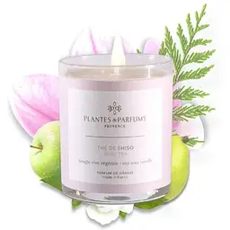 Ароматична свічка Plantes & Parfums The de Shiso 180 г - мініатюра 3