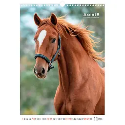 Календар настінний Axent А3 Horses 2026 рік (8804-26-3-A) - мініатюра 12