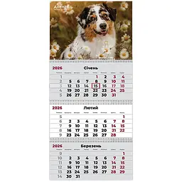 Календар настінний Axent Dogs 1 квартальний 2026 рік (8803-26-16-A)