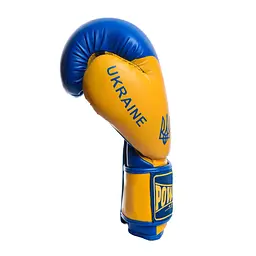 Боксерські рукавиці (PP-3021) PowerPlay 10 унцій fit0006112 - мініатюра 4