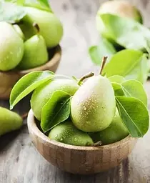 Саджанець Agro-Market Груша Марія (зимовий сорт, пізній термін дозрівання) (35452) 1 шт. в упаковці - мініатюра 5