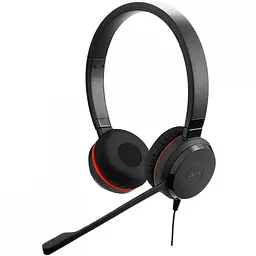 Гарнітура Jabra EVOLVE 20 SE MS Stereo + USB C/A adapter (шкіра)