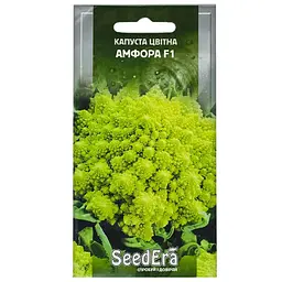 Капуста цвітна SeedЕra Амфора F1 30 шт