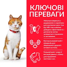 Сухий корм Hill SP Young Adult Sterilised для стерилізованих молодих котів з куркою 3 кг - мініатюра 2