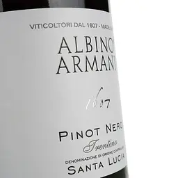 Вино Albino Armani Pinot Nero Trentino Santa Lucia DOC, червоне, сухе, 12,5%, 0,75 л - мініатюра 5