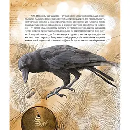Дитяча книжка "Як зрозуміти тварин" Час майстрів 452155 серія "Відкривай" - мініатюра 4