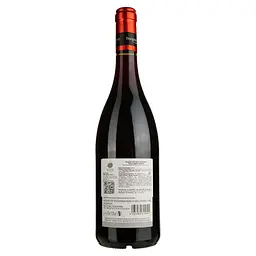 Вино Pasquier Desvignes Beaujolais, червоне, сухе, 13%, 0,75 л - мініатюра 2