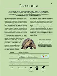 Велика книга тварин - Мартін Клаудія - мініатюра 11