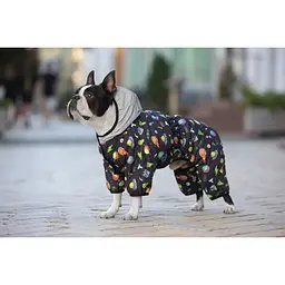 Комбінезон для собак Waudog Clothes, Рік та Морті 2, XS30 - мініатюра 2