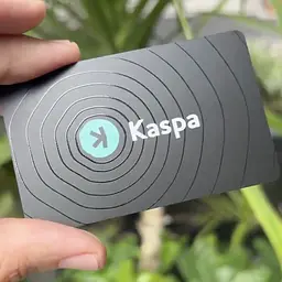 Криптогаманець Tangem 2.0 x Kaspa Wallet набір з 3 карток (TG128X3-K) - мініатюра 6