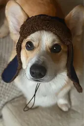 Шапка-вушанка для собак Hat-Dog Какао (S) - мініатюра 7