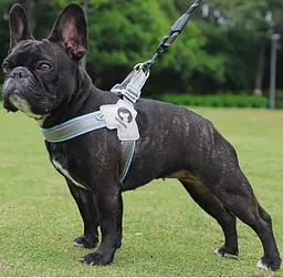 Шлея для собак Derby Duomm Pet harness FH106, XL Синій - мініатюра 5