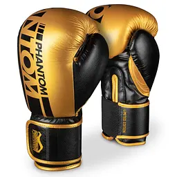 Боксерські рукавички Phantom 16 унций fit0011755
