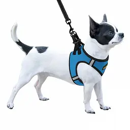Шлея для собак Bronzedog Sport Vest M 24х18х3 см блакитна - мініатюра 3