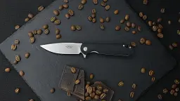 Складаний ніж Firebird сталь D2 75 мм чорний G10 - мініатюра 11