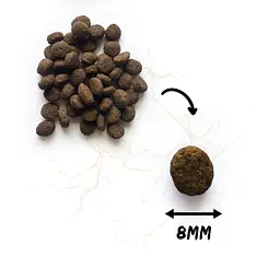 Сухий корм для кошенят Natura Wild Small Ridge з куркою 2 кг - мініатюра 2