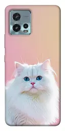 Чохол Demsky Pastel kitty для Motorola Moto G72