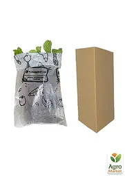 Саджанець Agro-Market Полуниця Чорний принц (Black Prince) (середній термін дозрівання) 5 шт. в пакуванні (25737) - мініатюра 2