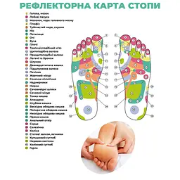 Масажер зубчастий дерев'яний для стоп 14.5 см, Woodly 84216