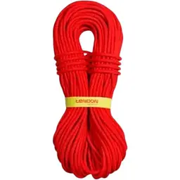 Динамічна мотузка Tendon Master Pro 9.2 CS 70 м Red (1033-TND D092TP41C070C)