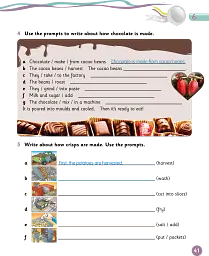 Grammar Goals. Level 5. Pupil's Book Pack - Анджела Лланас - мініатюра 6